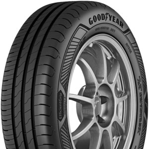 Goodyear EfficientGrip Compact 2 195/65 R15 91T