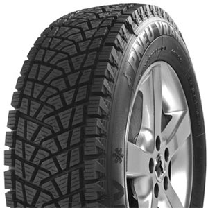 Vraník Ice Special-protektor 225/60 R17 99H